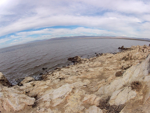 Mullet Island (1041)