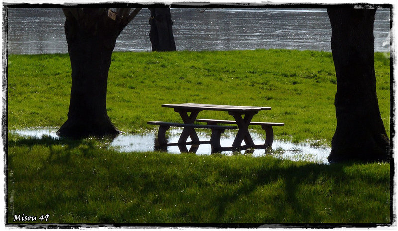 SAINTE GEMMES sur LOIRE