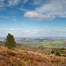 Shropshire View