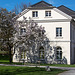20140320 1066VRAw [D-E] Magnolie, Schloss Borbeck, Essen