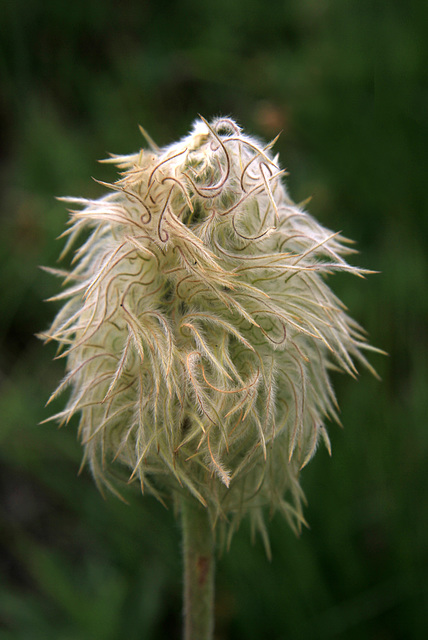 Old Man of the Mountains