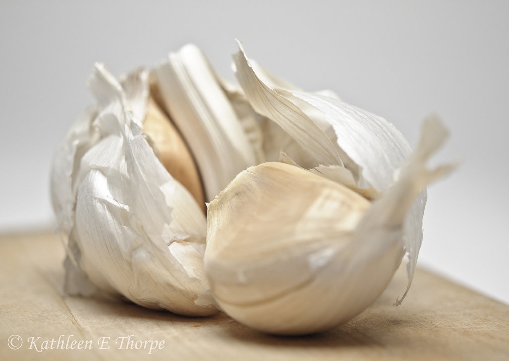 Elephant Garlic Still Life High Key 040114