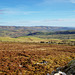 Long Mynd