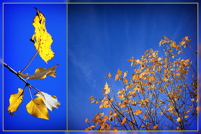 Autumnal Diptych