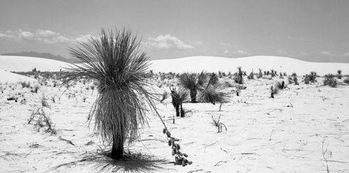 White Sands, New Mexico