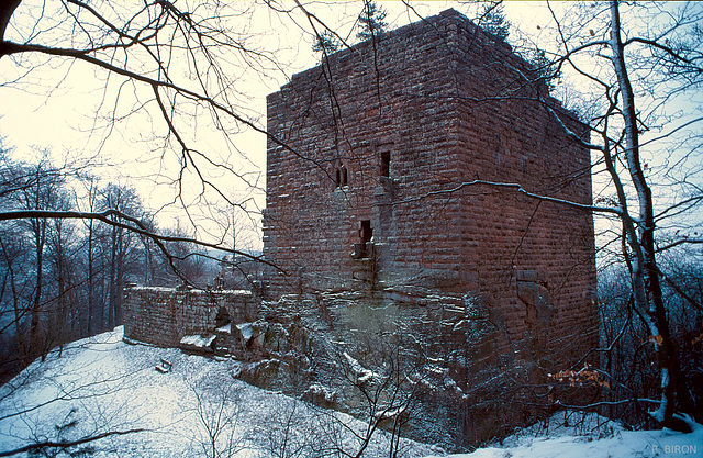 Côté nord du Wasenbourg