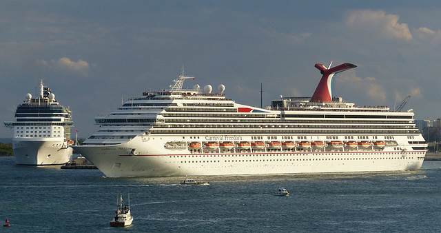 Carnival Freedom at Port Everglades (6) - 25 January 2014