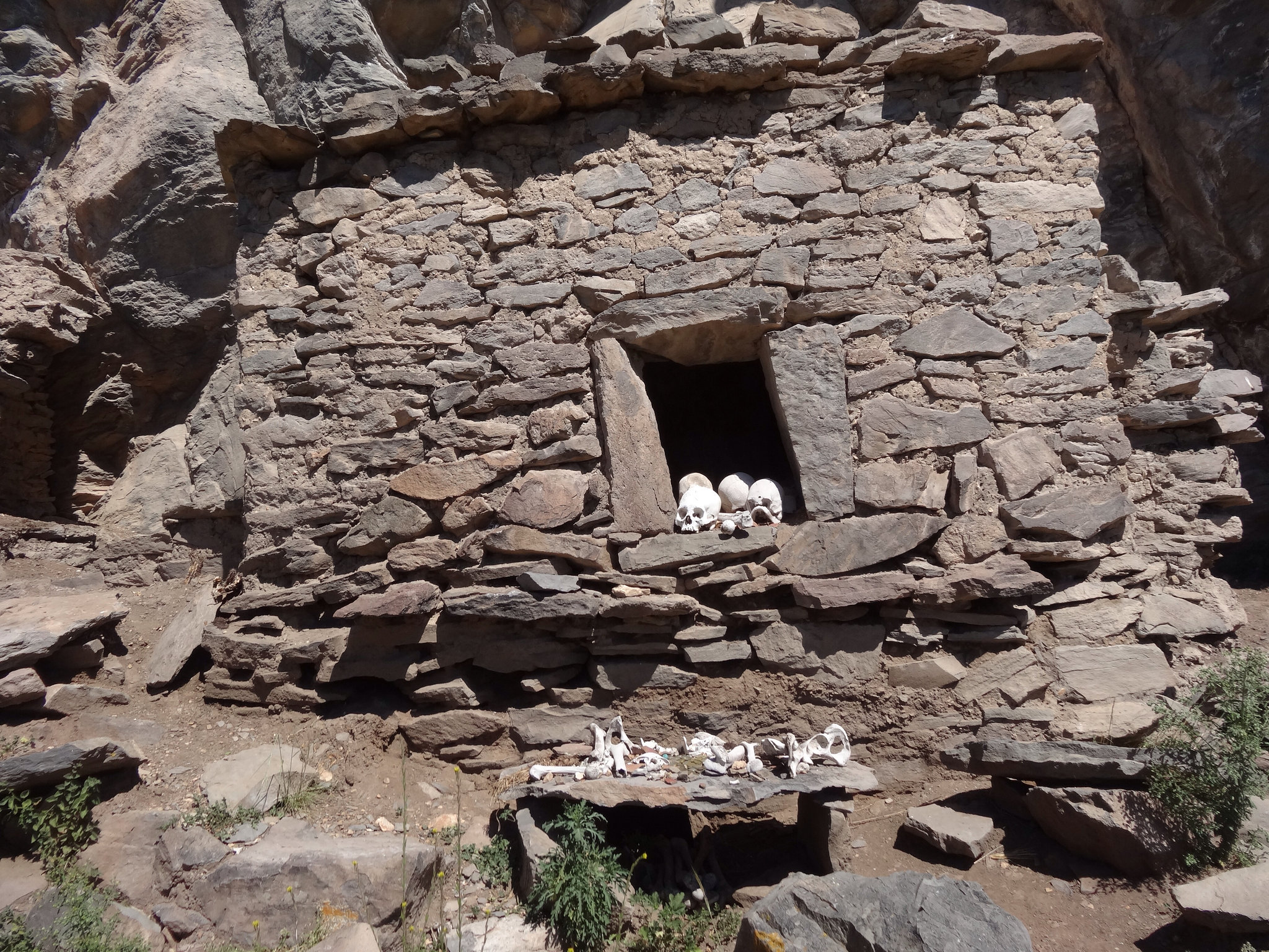 Dans le canyon de la Colca