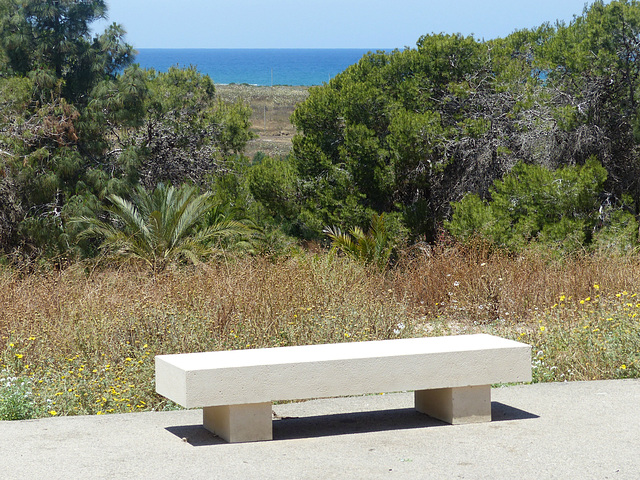 Seats at Caesarea (2) - 19 May 2014