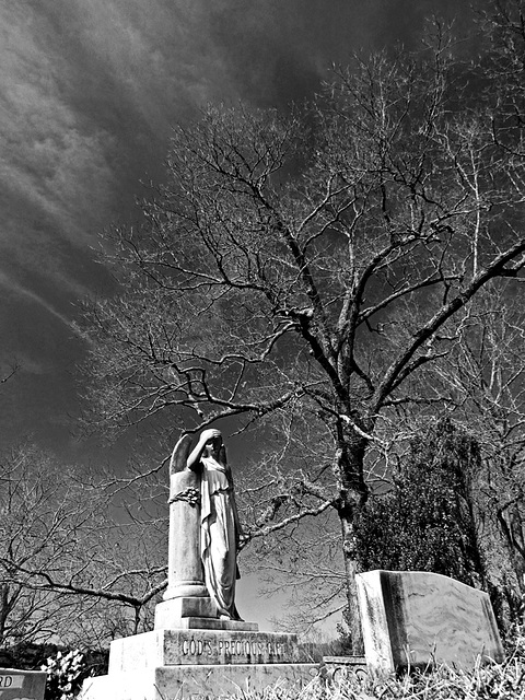 Cemetery Angel