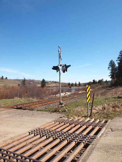 Cattle guard.