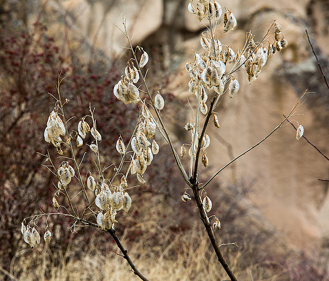 20140303 0347VRAw [TR] Göreme, Kappadokien