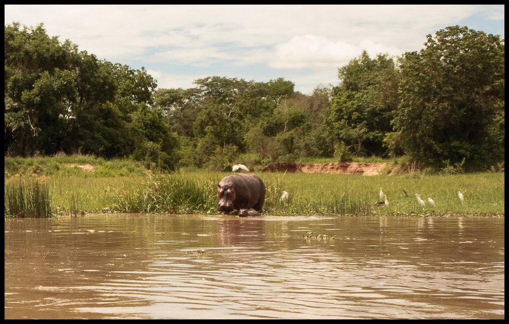 Swimming lessons