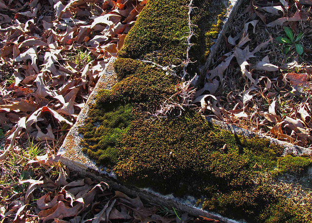 Bristow Cemetery