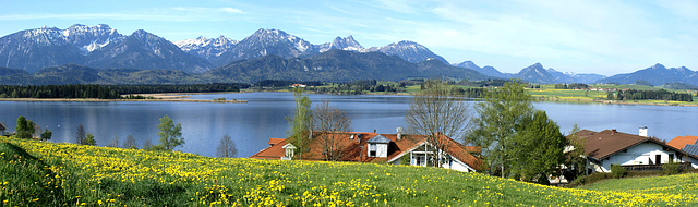 Frühling am See.  ©UdoSm