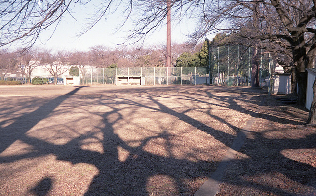 Shadows on the baseball ground