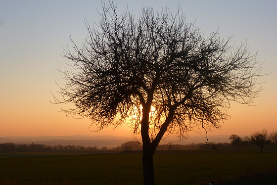 Sonnenuntergang über dem Osterzgebirge