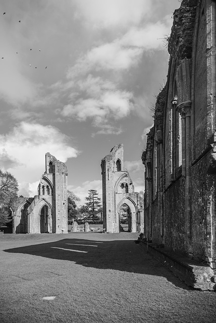 Glastonbury Abbey - 20140322