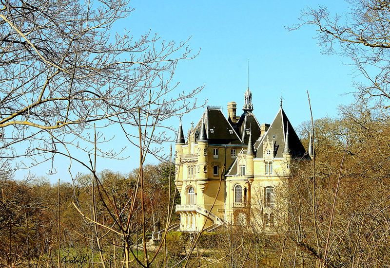 Le château de la belle au bois dormant