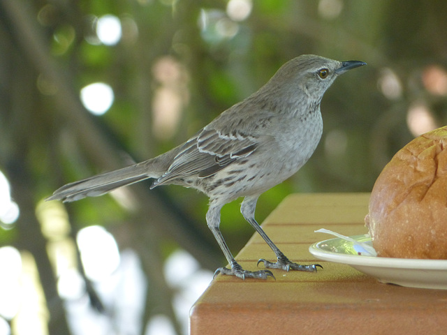 Lunch Is Served - 1 February 2014