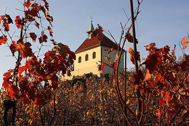 St Clara's Chapel_2