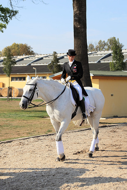 A Girl On A Horse