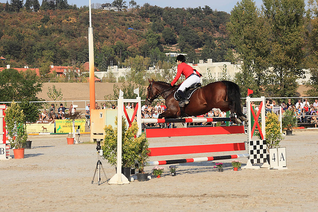 Show-jumping 2