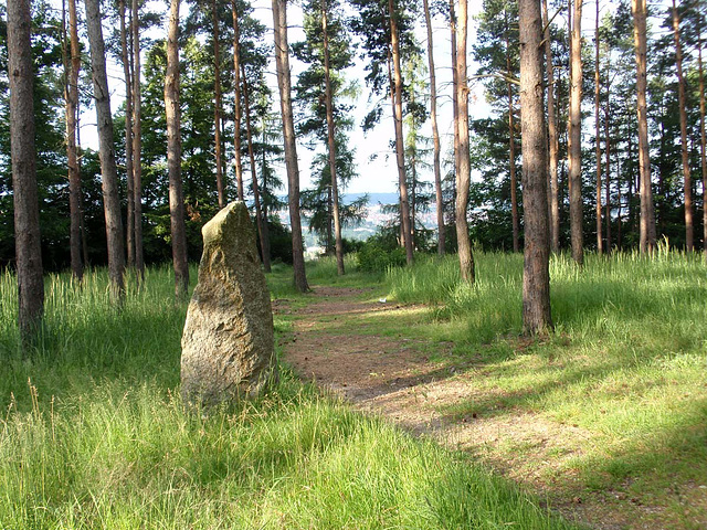 Menhir 1