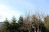 côté sud du jardin