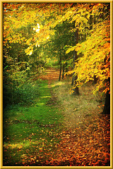 Path into Autumn