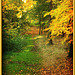 Path into Autumn