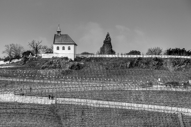 St Clara's Chapel & Vineyard