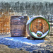 Old Wine Casks