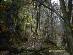 Sandstone Creek Ravine