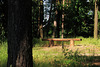 A Place Of Quietness