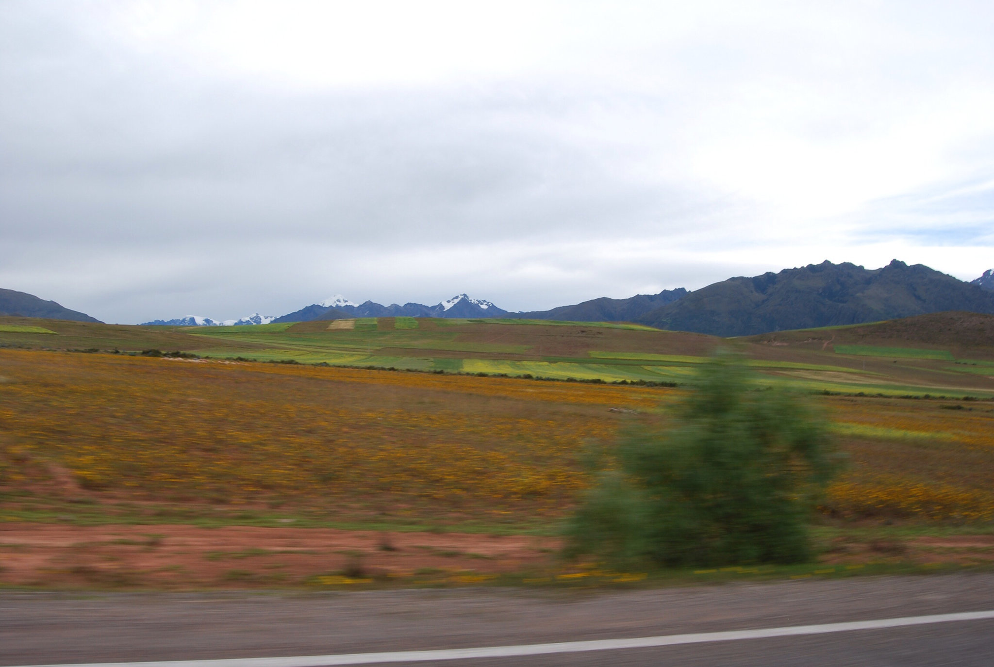 Sur fond de Cordillère des Andes