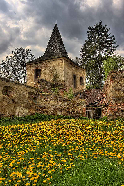 Červená Řečice Castle_1