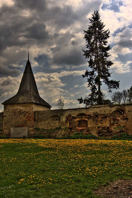 Červená Řečice Castle