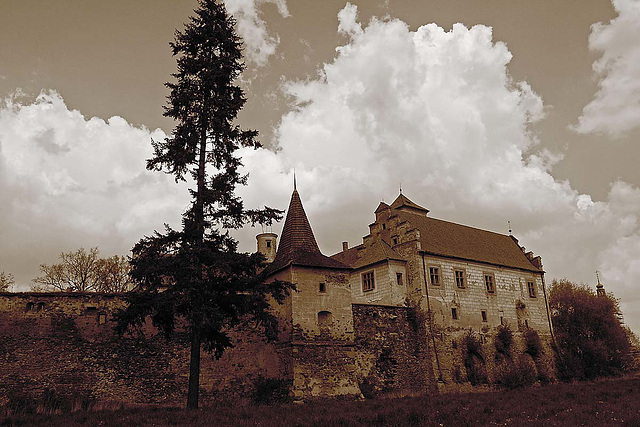 Červená Řečice Castle_5