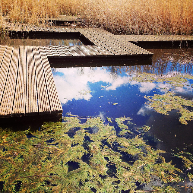 Entre ciel et eau