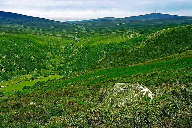 Wicklow Mountains