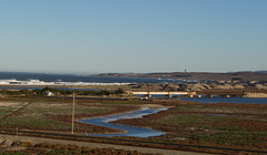 Lompoc Ocean Beach (1184)