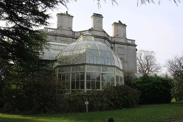 Farmleigh - The Conservatory