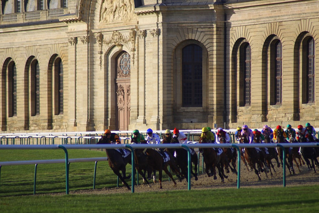 Course à l'hippodrome