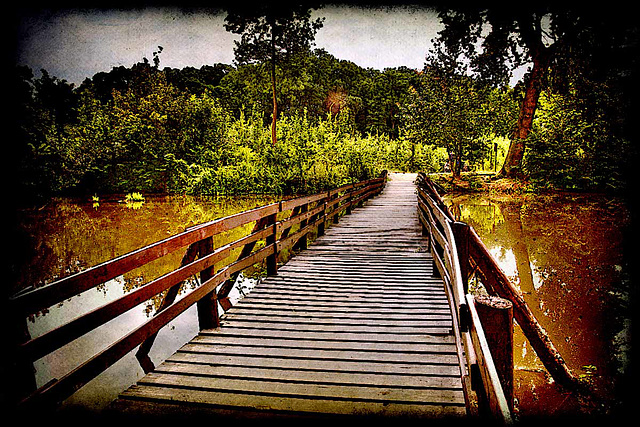 A Foot-bridge