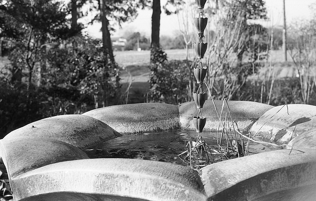 Rain chain of  the temple