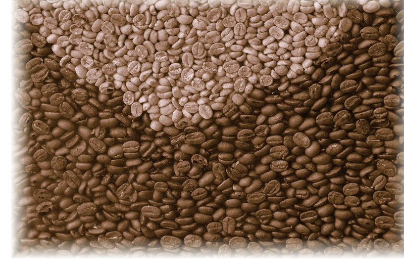 Grains à moudre