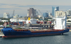 Pavo J at Port Everglades - 26 January 2014