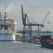 Cruise, Crane and Cargo - 25 January 2014