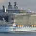 Oasis of the Seas at Port Everglades (2) - 25 January 2014